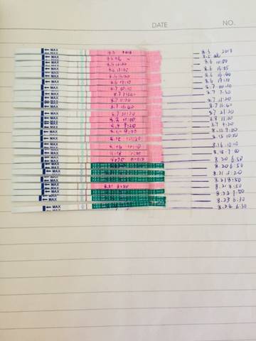 journal_insert_pic_1087907724