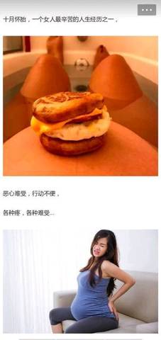 journal_insert_pic_1088811347