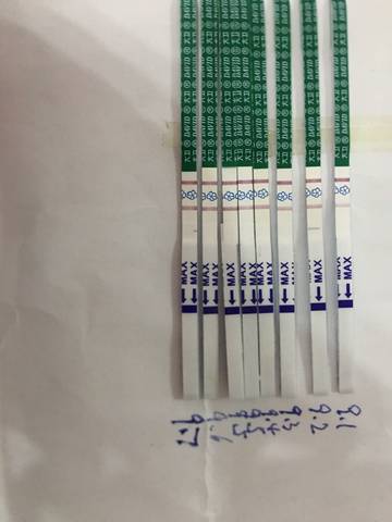 journal_insert_pic_1088395919