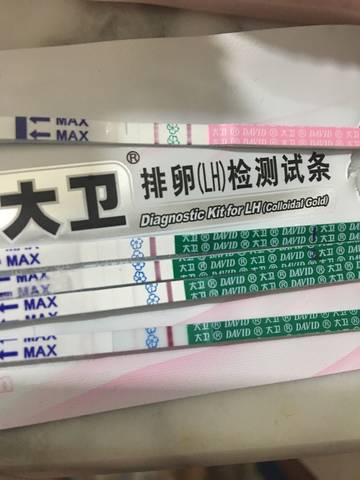 journal_insert_pic_1088935494