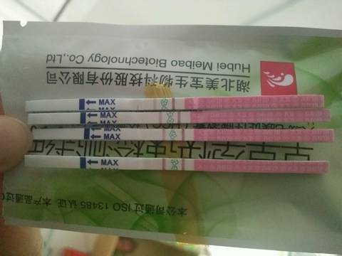 journal_insert_pic_1088935998