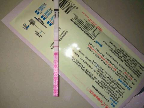 journal_insert_pic_1089183473