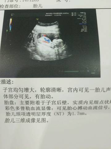 journal_insert_pic_1090696536