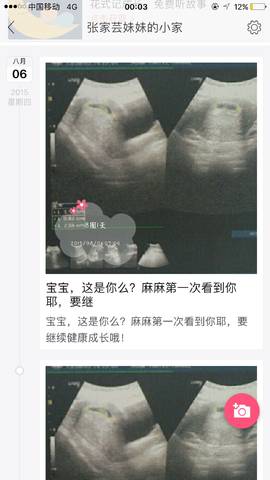 journal_insert_pic_1091472939