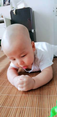 journal_insert_pic_1092184403