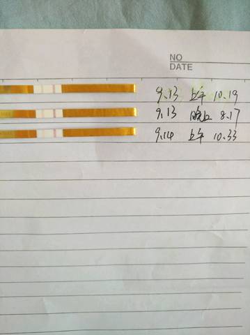 journal_insert_pic_1092773915