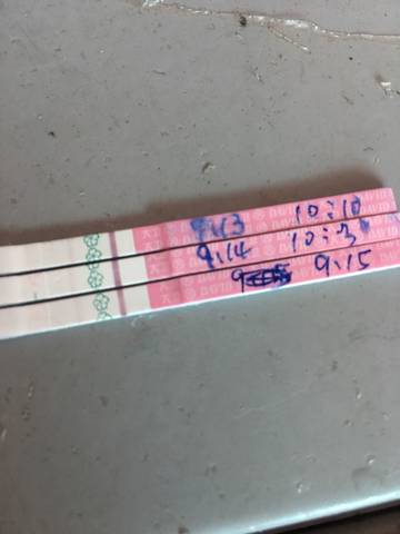 journal_insert_pic_1093339157