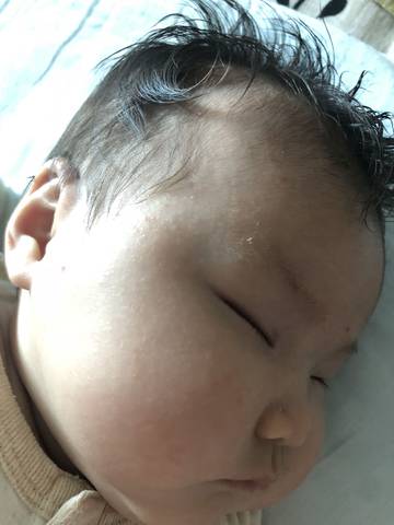 journal_insert_pic_1093264433