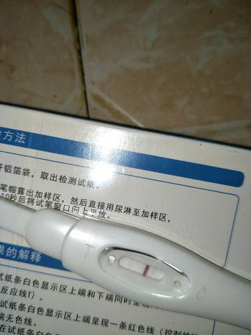 journal_insert_pic_1093778746