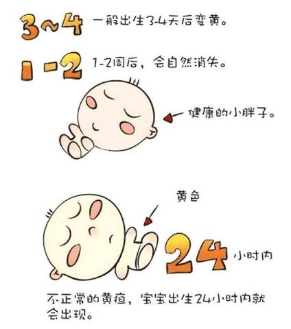 journal_insert_pic_1094150334