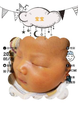 journal_insert_pic_1094730207