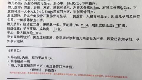 journal_insert_pic_1094878172