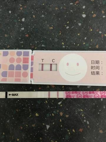 journal_insert_pic_1095323591