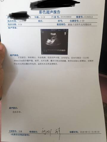 journal_insert_pic_1095373667