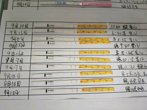 journal_insert_pic_1095450809