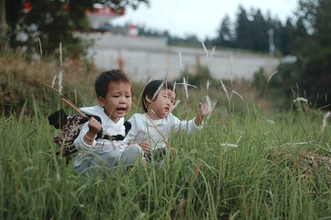 journal_insert_pic_1095862766