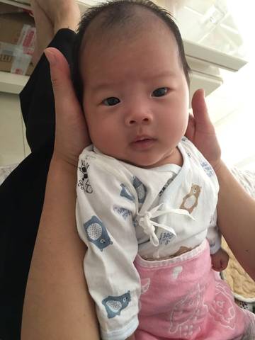 journal_insert_pic_1095550432