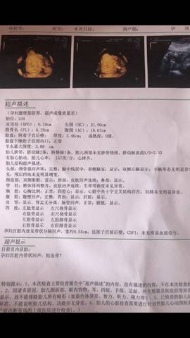 journal_insert_pic_1095654083