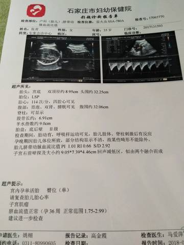 journal_insert_pic_1096351354