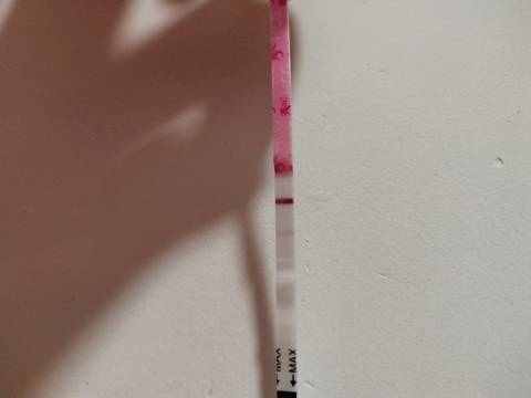 journal_insert_pic_1096075849