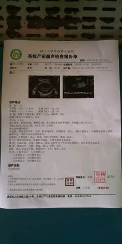 journal_insert_pic_1096133506