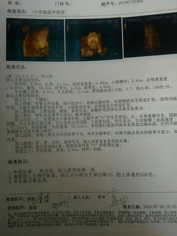 journal_insert_pic_1096787446