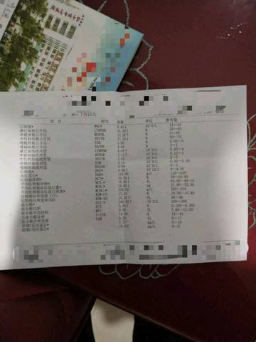 journal_insert_pic_1096952141