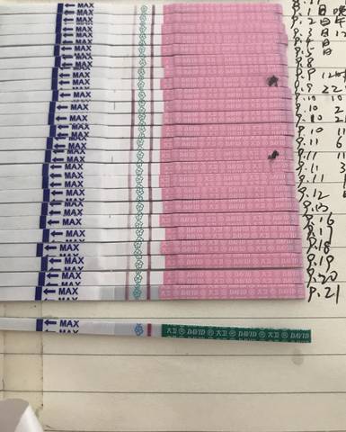 journal_insert_pic_1096730754