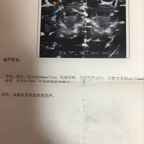 journal_insert_pic_1096998570