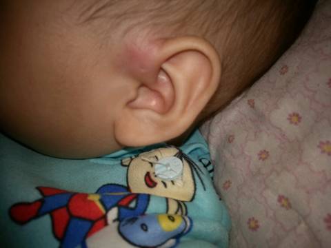 journal_insert_pic_1097461954