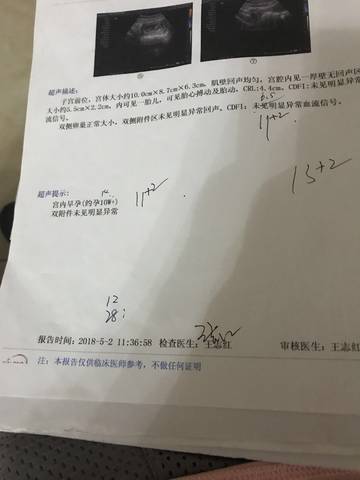 journal_insert_pic_1097176185