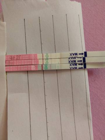 journal_insert_pic_1097896728