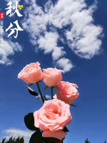 journal_insert_pic_1097821530