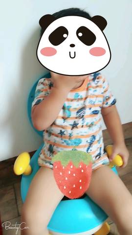 journal_insert_pic_1098451808