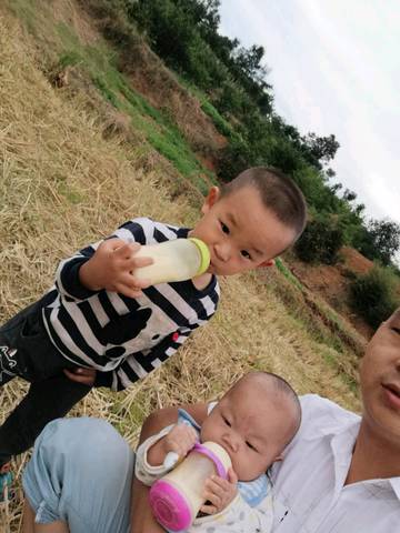 journal_insert_pic_1099205356