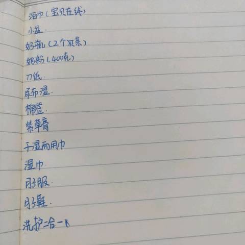 journal_insert_pic_1099744491