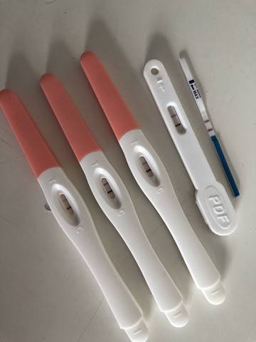 journal_insert_pic_1099530317