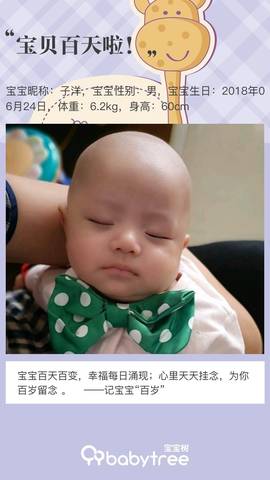 journal_insert_pic_1100238389