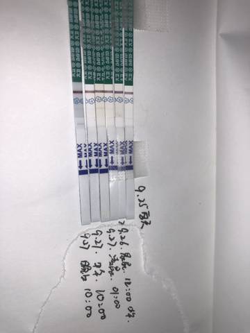 journal_insert_pic_1100668795
