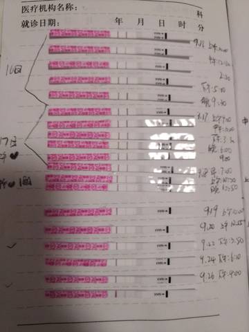 journal_insert_pic_1100486550