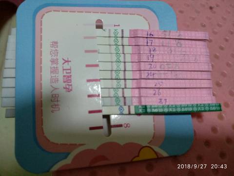 journal_insert_pic_1100608693