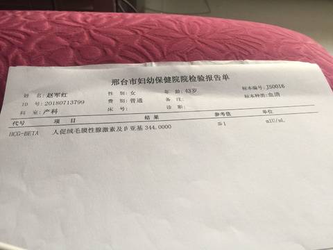 journal_insert_pic_1100450840