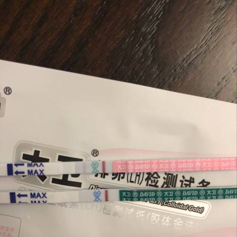 journal_insert_pic_1101261068