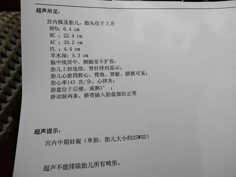 journal_insert_pic_1101118173