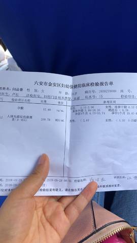 journal_insert_pic_1100964821