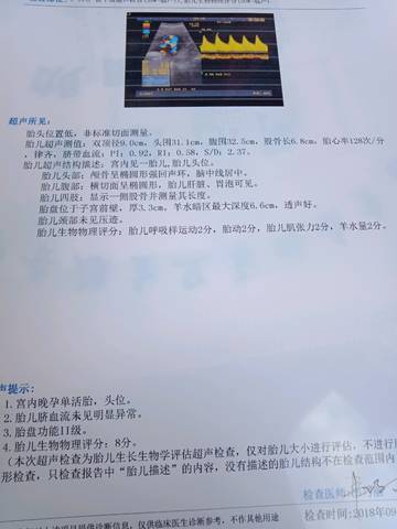 journal_insert_pic_1101540861