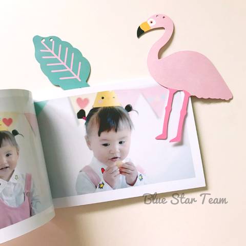 journal_insert_pic_1101446352