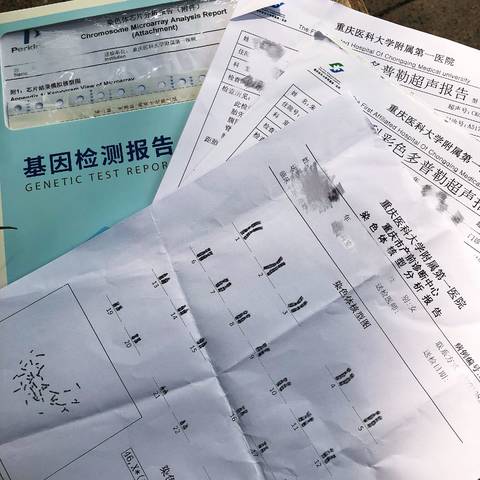 journal_insert_pic_1101790312