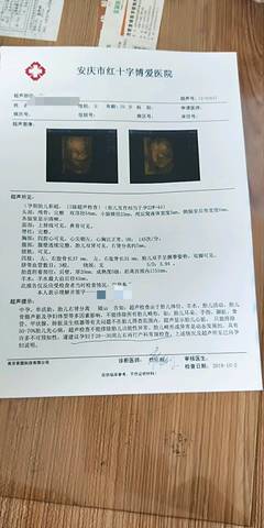 journal_insert_pic_1103208261