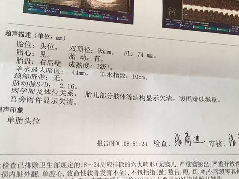 journal_insert_pic_1103793827